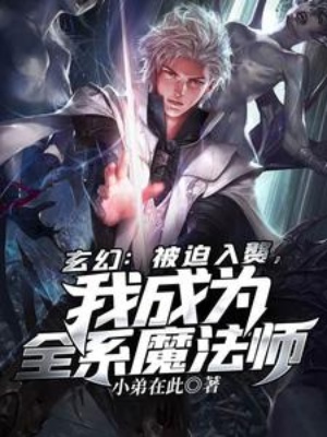 玄幻：被迫入赘，我成为全系魔法师在线阅读