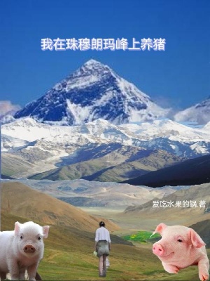 我在珠穆朗玛峰上养猪在线阅读